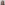 Profile picture of Renee Flannery