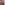 Profile picture of Emily Goodwin