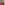 Profile picture of Emily Goodwin