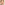Profile picture of Thomas Kocher