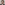 Profile photo of Toshiya Suzuki.