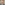 Profile picture of Tom Barrett