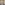 Profile picture of Tom Barrett