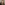 profile image of Emily Dixey