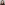 Dianna Nelson profile picture