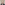 Profile picture of Lee Tomlin