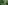 A lush green landscape of dense, jungle vegetation including a variety of trees, ferns, and a grove in the heart of a rainforest, representing the richness of nature in a woodland setting, outdoors.