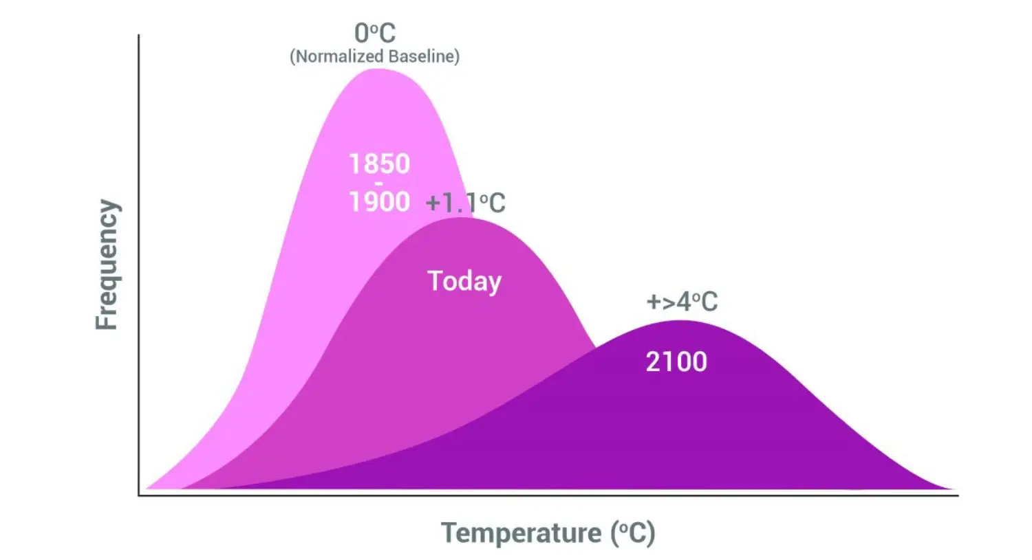 Trust IPCC - Image 5