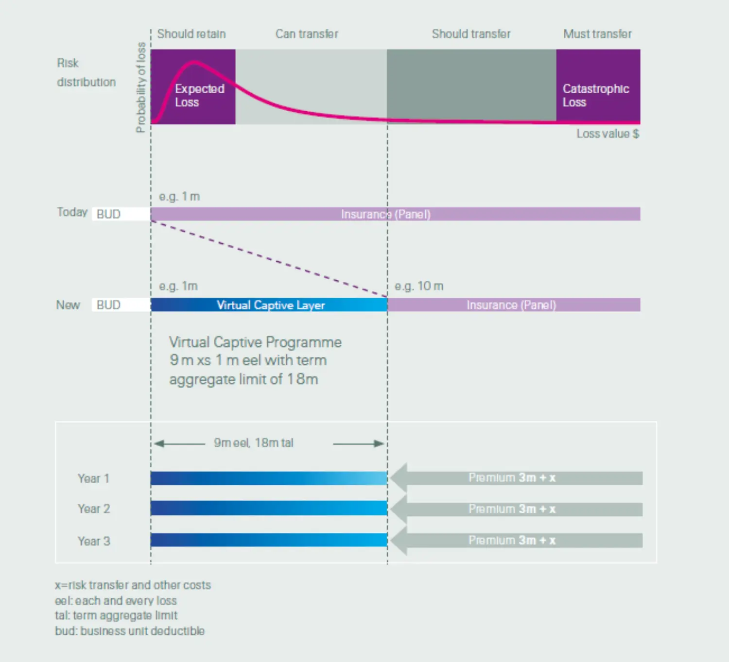 Risk distribution: Virtual Captive Programme (graphic)