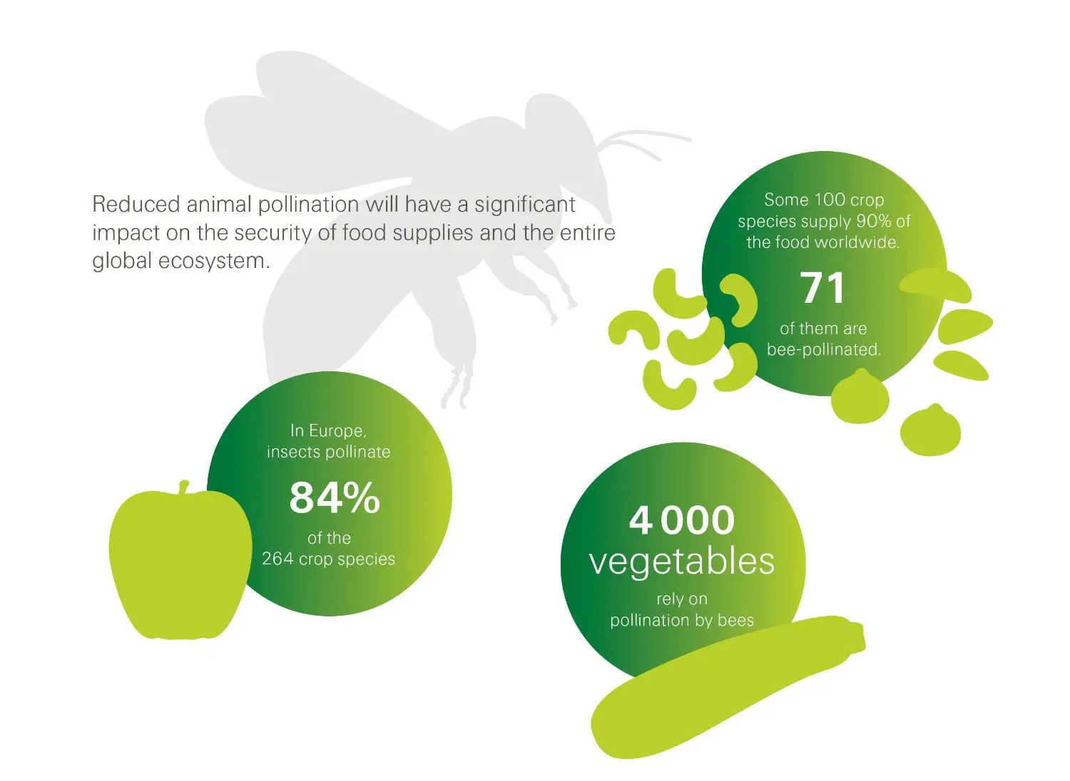 Animal pollination graphic
