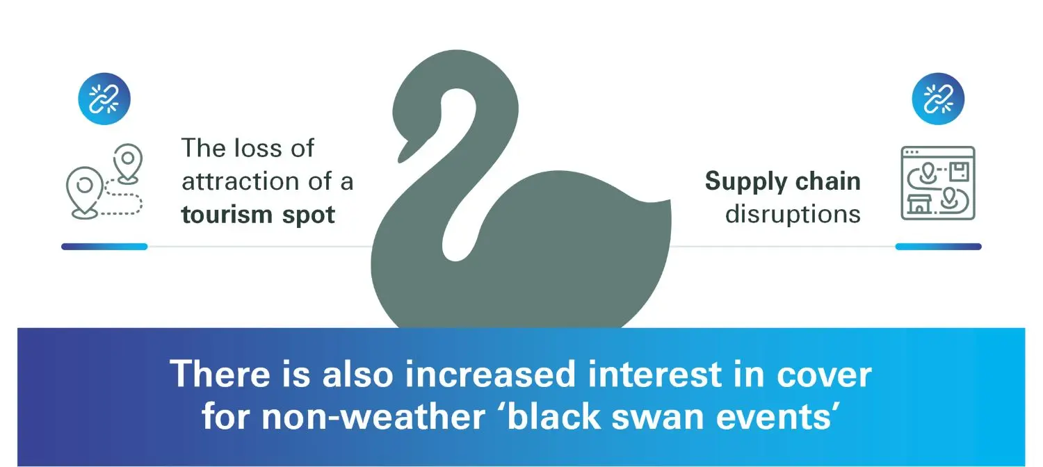 Black swan events infographic