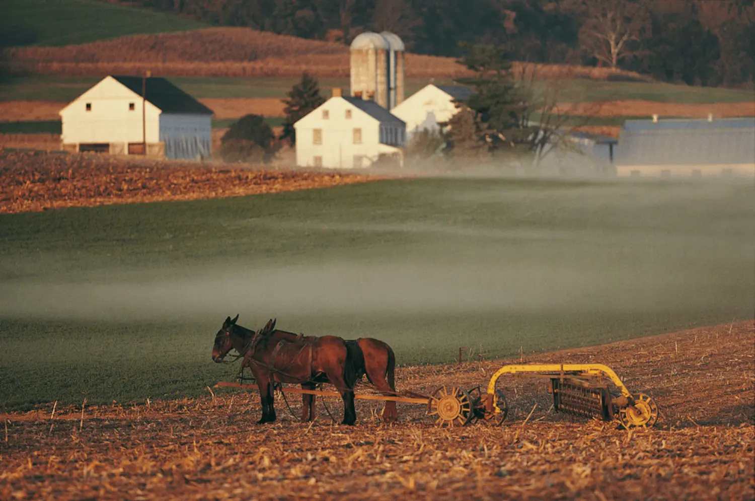 danosrurais.propriedades