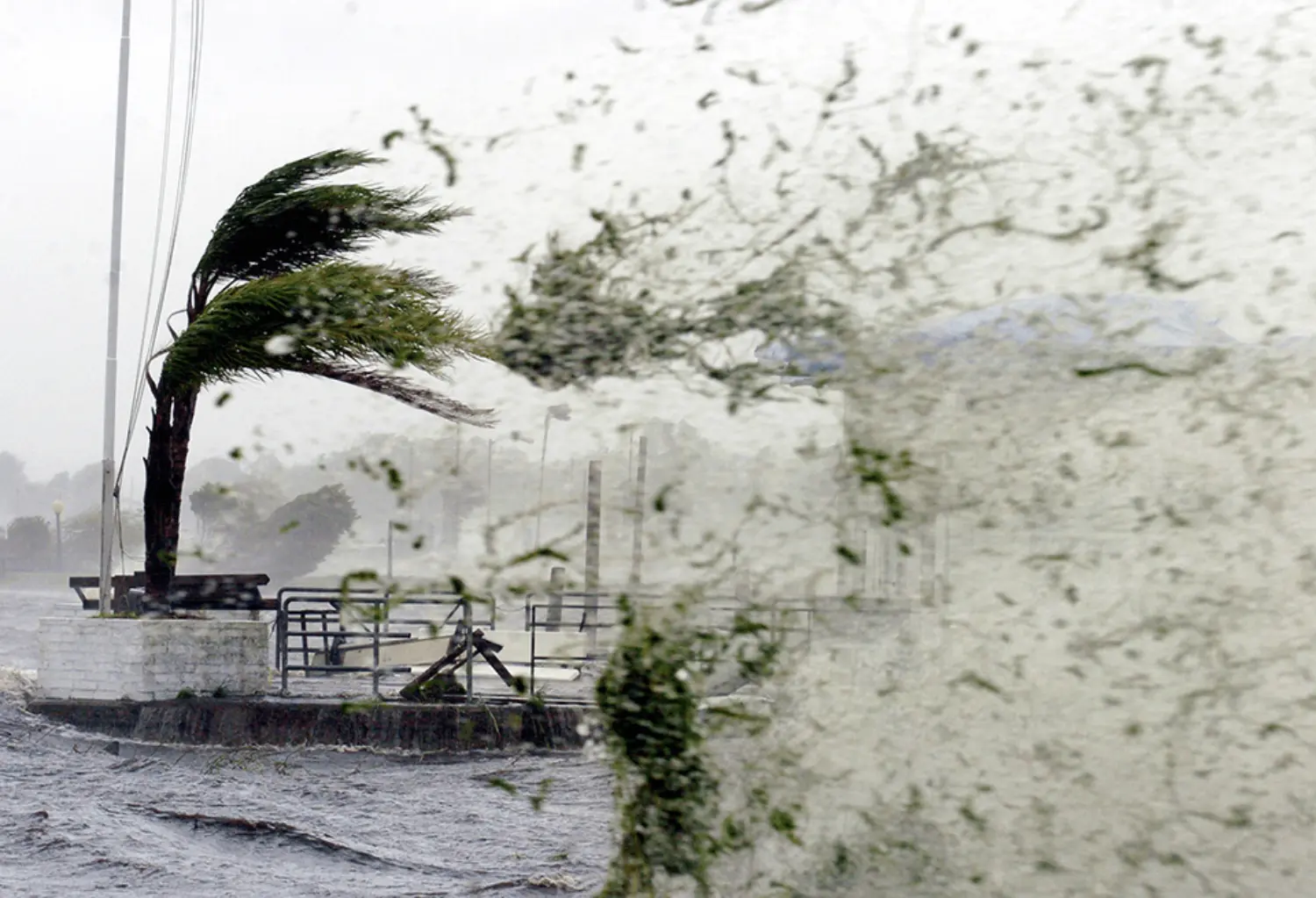 Furacões, incomuns no Brasil, são grandes tempestades tropicais que se originam sobre as zonas tropicais dos oceanos em áreas onde a temperatura da água encontra-se acima de 26ºC. Os furacões, que podem atingir um raio de mais de 500 km de extensão, são assim designados quando os ventos gerados ultrapassam a 119 km/h. No Brasil, o furacão Catarina, em março de 2004, foi a primeira ocorrência registrada no Atlântico Sul