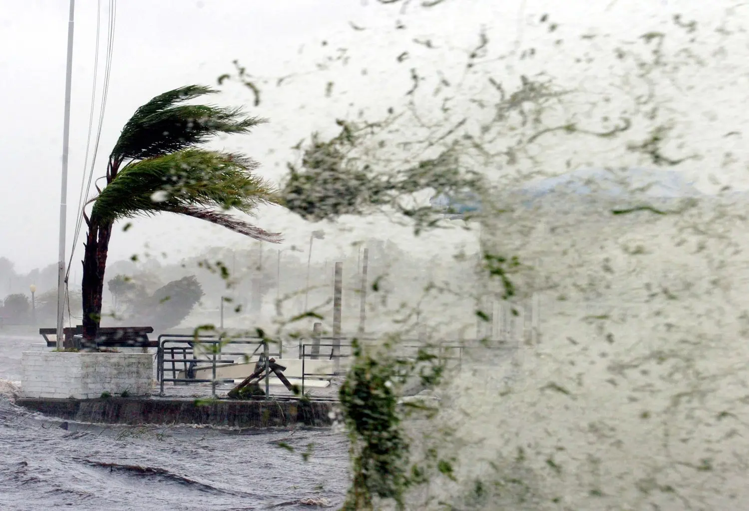 Huracanes, tormentas y ciclones son una amenaza significativa a las zonas costeras alrededor del mundo, causan cada año daños a la propiedad e interrupción de negocios en el orden de miles de millones de dólares. Aunque es muy poco probable no sufrir ningún daño a causa de una tormenta o huracán, prepararse adecuadamente y mantener las instalaciones apropiadamente, producirá los mejores resultados y ua pronta recuperación después de una tormenta. Prepárese. Contrate por adelantado servicios de limpieza, reparación y suministro de equipos de emergencia, para poder acceder rápidamente a servicios críticos. Esto es de suma importancia para eventos naturales de amplia envergadura donde los contratistas tendrán una alta demanda. 