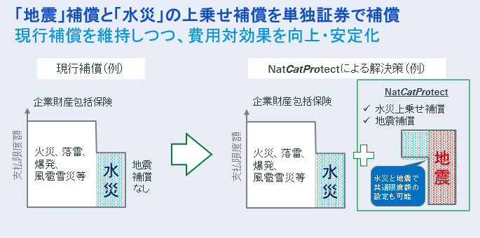 Nat Cat Protect flood risk Figure 1