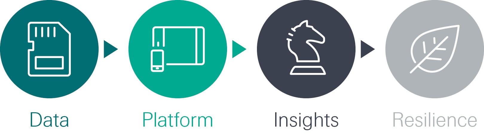 4 steps in climate risk solutions, static image