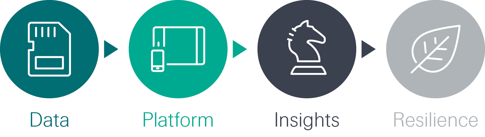 4 steps in climate risk solutions, static image